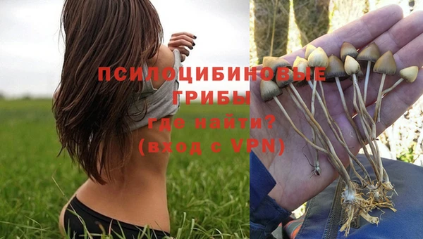 мескалин Аркадак
