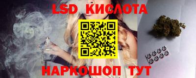сатива Новокубанск