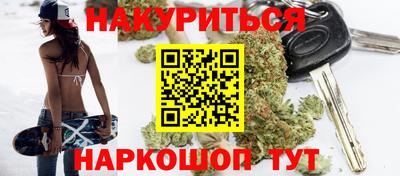 сатива Новокубанск