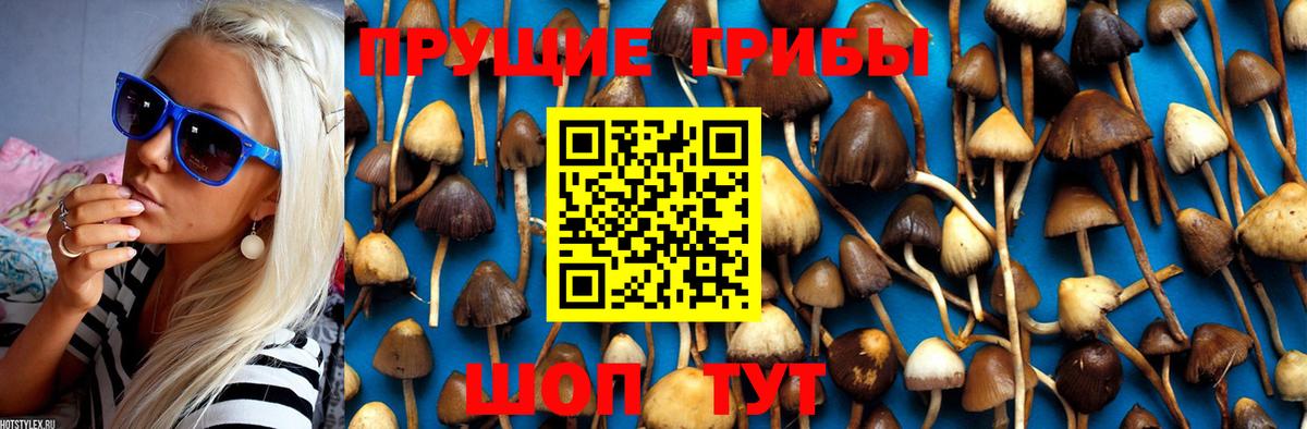 Псилоцибиновые грибы Magic Shrooms  купить наркотик  Вход с VPN  Арсеньев  Галлюциногенные грибы Cubensis 